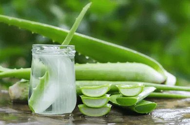 Aloe Vera Gel for Skin and Hair