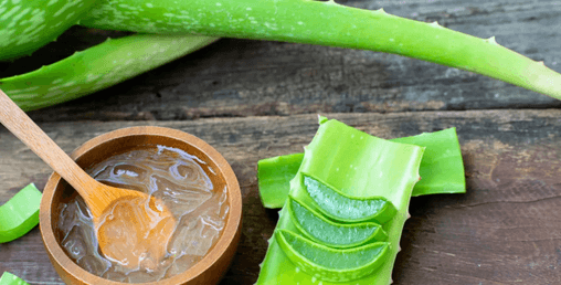 Aloe Vera Gel for Skin Benefits in Hindi