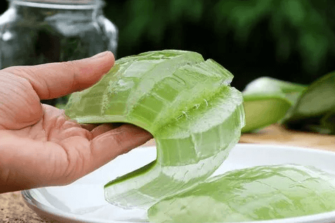 Aloe Vera Gel for Skin Benefits in Hindi